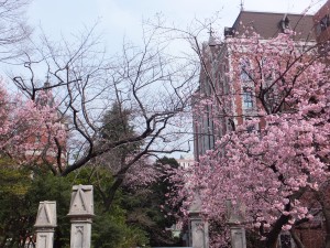 慶応義塾大学文学部自己推薦入試