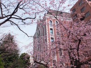 慶應義塾大学