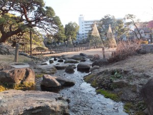 新江戸川公園