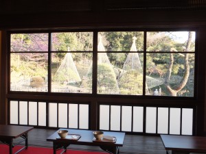 学生たちと散歩をしたあと、お茶をしました。