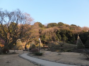 新江戸川公園