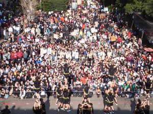 早稲田大学のサークル紹介