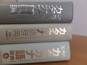 コンサイス カタカナ語辞典