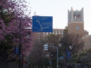 早稲田に春がやって来た。