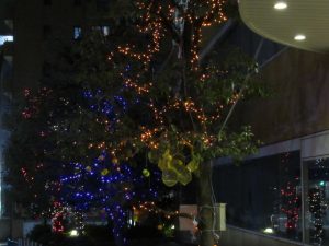 22号館前のイルミネーション