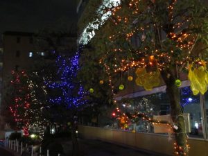 早稲田大学22号館前のイルミネーション