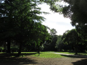 戸山公園から早稲田大学まで散歩をしました。