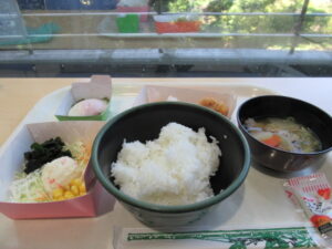 早稲田大学の食堂で学生たちとランチをしました。