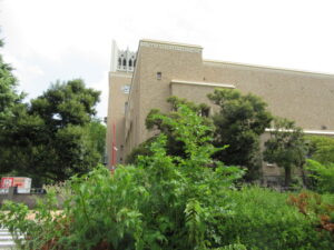 たくましく成長する草と大隈講堂(早稲田大学)
