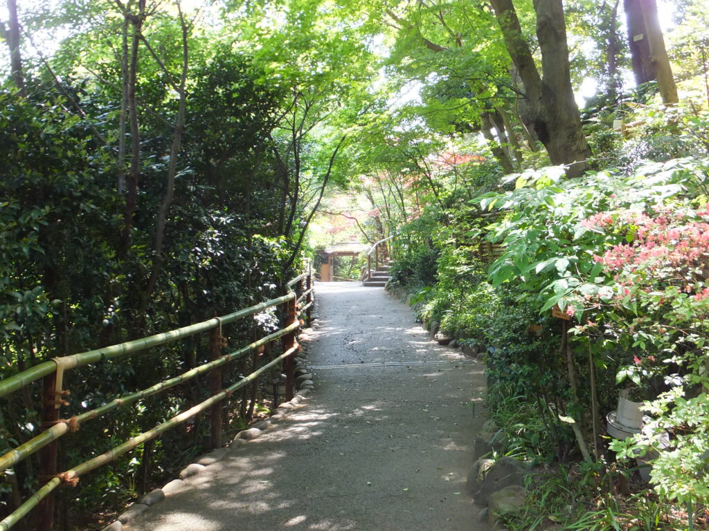お茶の学生たちの「哲学の道」(お茶大から徒歩15分)