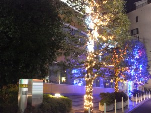 クリスマスイルミネーション（早稲田大学２２号館前）
