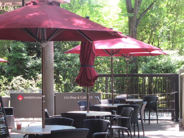 いつもの場所に集合しました。(大隈講堂横)